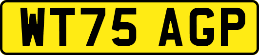 WT75AGP