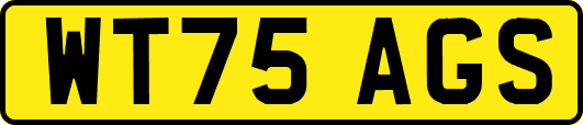 WT75AGS