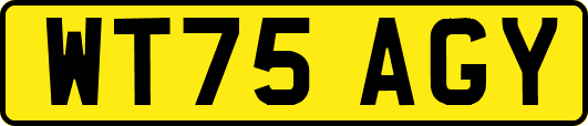 WT75AGY