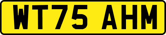 WT75AHM