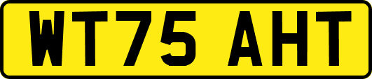 WT75AHT