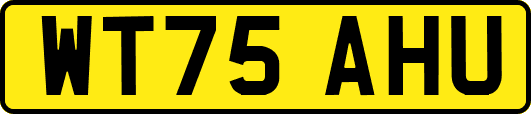 WT75AHU