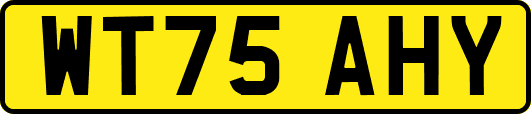 WT75AHY