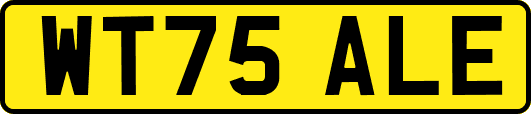 WT75ALE