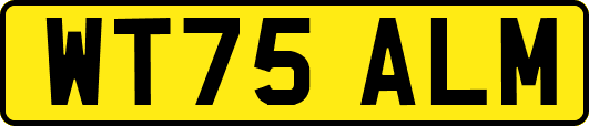 WT75ALM