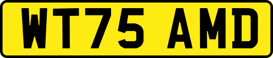 WT75AMD