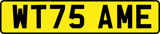 WT75AME