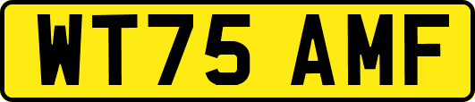 WT75AMF