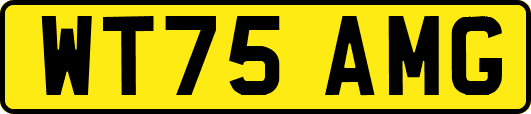 WT75AMG
