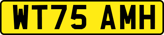 WT75AMH