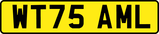 WT75AML