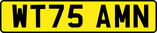 WT75AMN