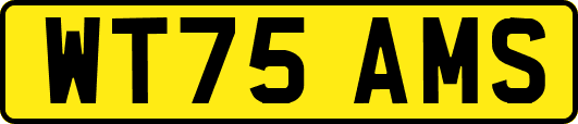WT75AMS