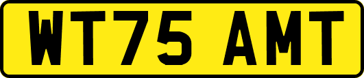 WT75AMT