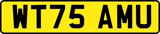 WT75AMU