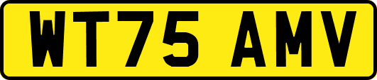 WT75AMV
