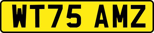 WT75AMZ
