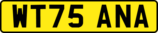 WT75ANA