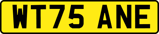 WT75ANE