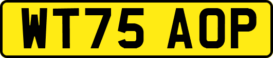 WT75AOP