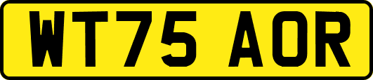 WT75AOR