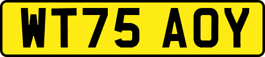 WT75AOY