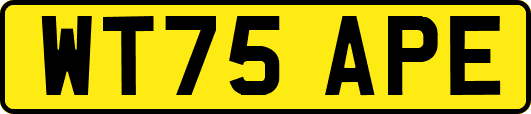 WT75APE