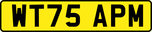 WT75APM