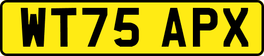 WT75APX