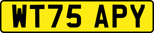 WT75APY