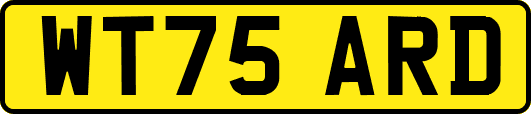WT75ARD