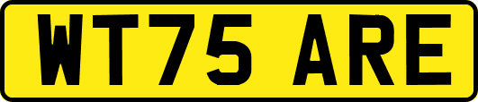WT75ARE