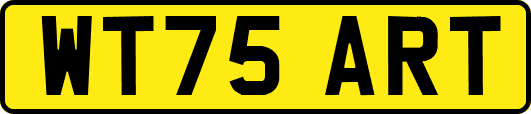 WT75ART
