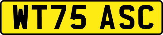 WT75ASC
