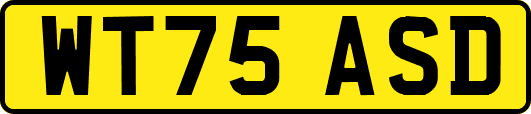 WT75ASD