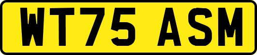 WT75ASM