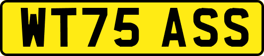 WT75ASS