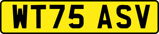 WT75ASV