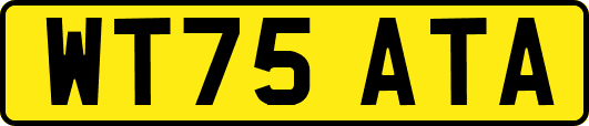 WT75ATA