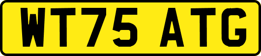 WT75ATG