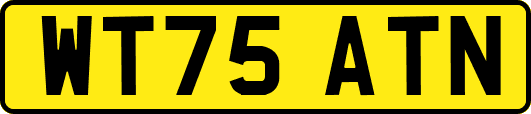 WT75ATN