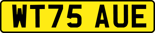 WT75AUE