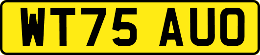 WT75AUO