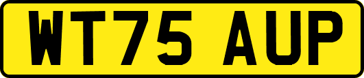 WT75AUP