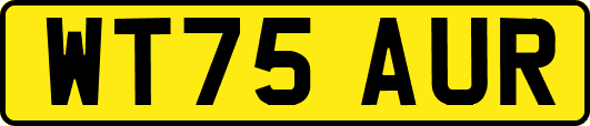 WT75AUR