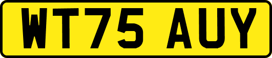WT75AUY
