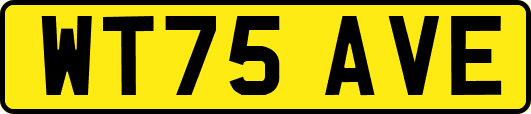 WT75AVE