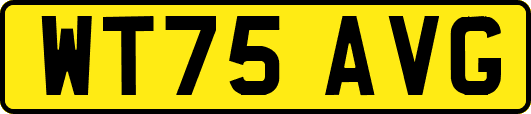 WT75AVG