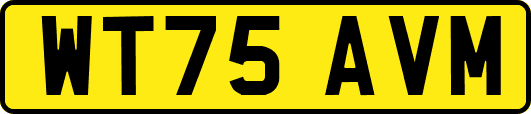 WT75AVM