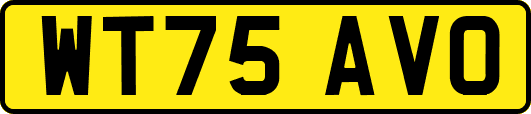WT75AVO